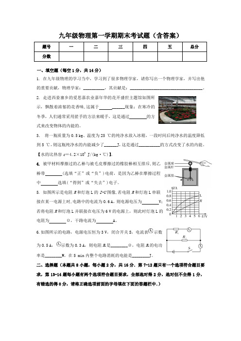 九年级物理第一学期期末考试题(含答案)