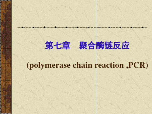 聚合酶链反应讲解