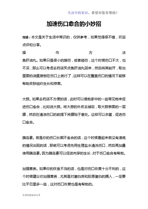 加速伤口愈合的小妙招