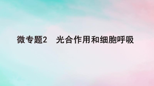 高考生物考前冲刺第1篇专题素能提升专题2代谢微专题2光合作用和细胞呼吸