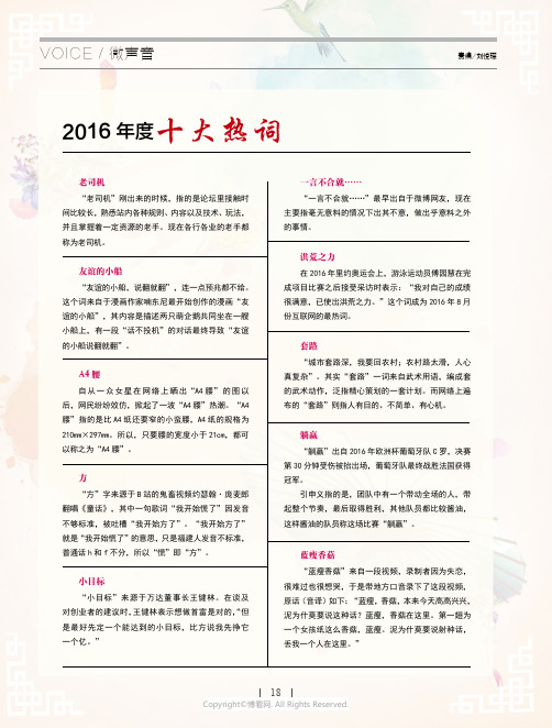 2016_年度十大热词