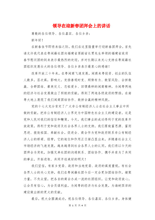 领导在迎新春团拜会上的讲话与领导在青年创业项目会发言汇编