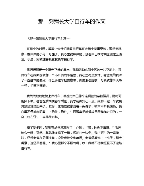 那一刻我长大学自行车的作文