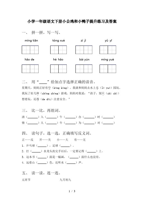 小学一年级语文下册小公鸡和小鸭子提升练习及答案