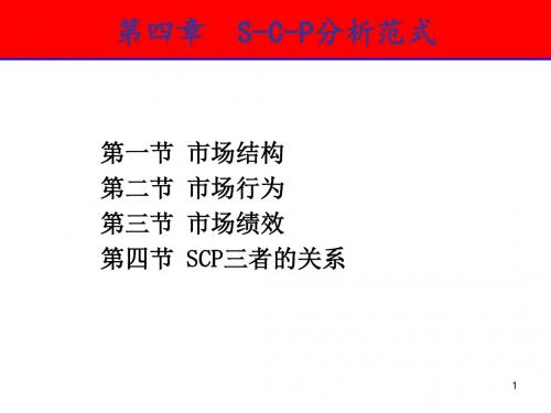 第4章 S-C-P分析范式