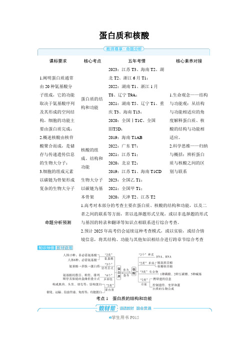 2025年高中生物高考精品备课教案：蛋白质和核酸