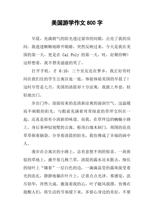 美国游学作文800字