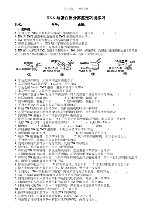 DNA与蛋白质分离与鉴定巩固习题