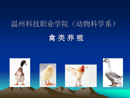 温州科技职业学院(动物科学系)