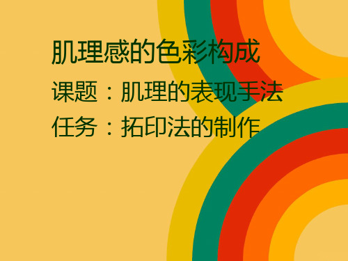 肌理的表现手法 PPT课件