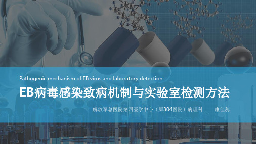 EB病毒感染致病机制与实验室检测方法