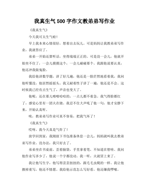 我真生气500字作文教弟弟写作业