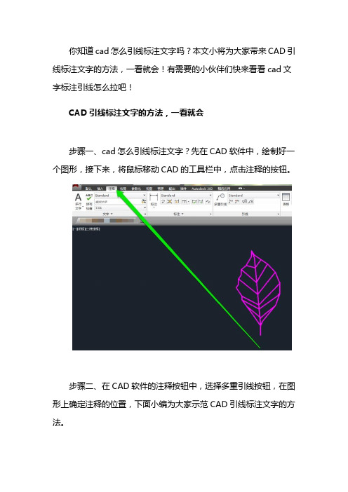 cad怎么引线标注文字