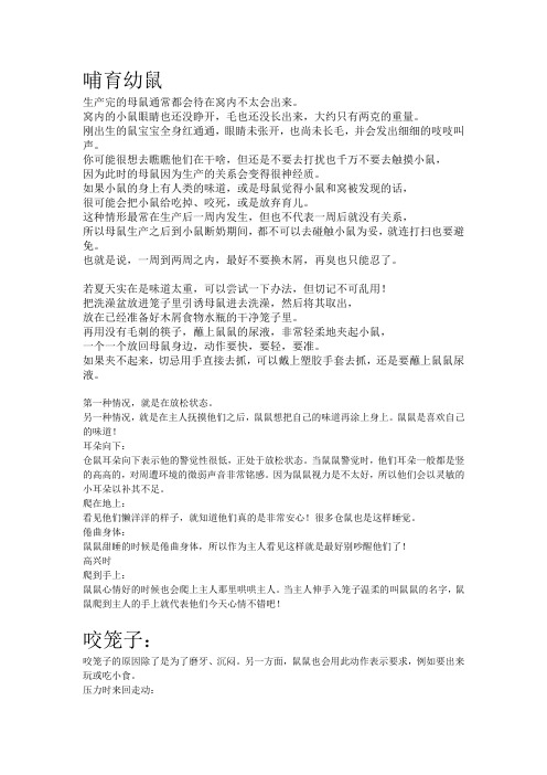 仓鼠饲养、习性Microsoft Office Word 文档