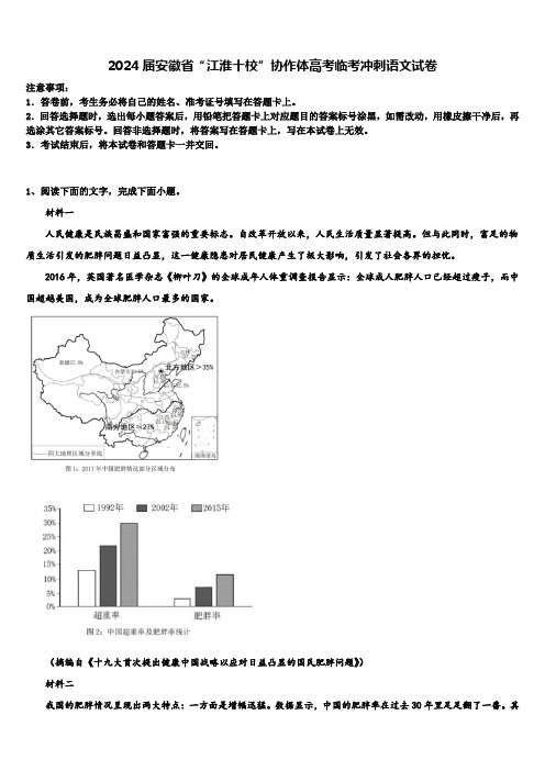 2024届安徽省“江淮十校”协作体高考临考冲刺语文试卷含解析