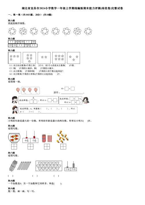 湖北省宜昌市2024小学数学一年级上学期统编版期末能力评测(培优卷)完整试卷