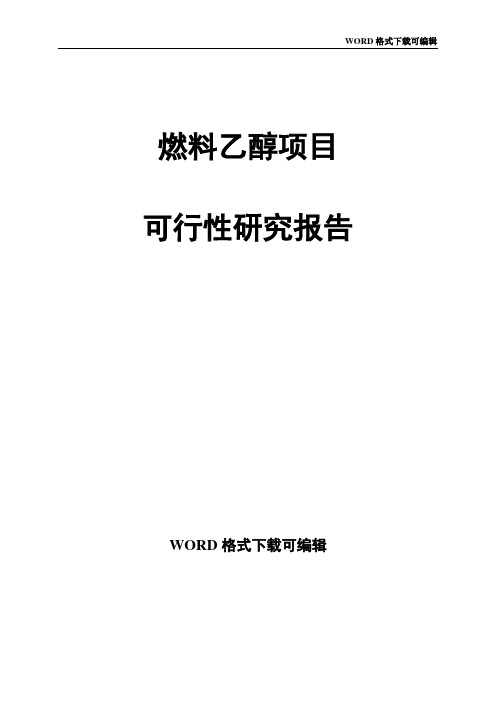 燃料乙醇项目可行性研究报告