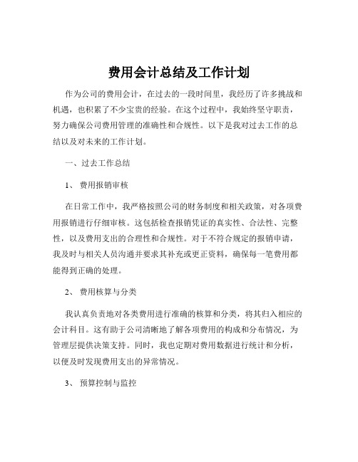 费用会计总结及工作计划