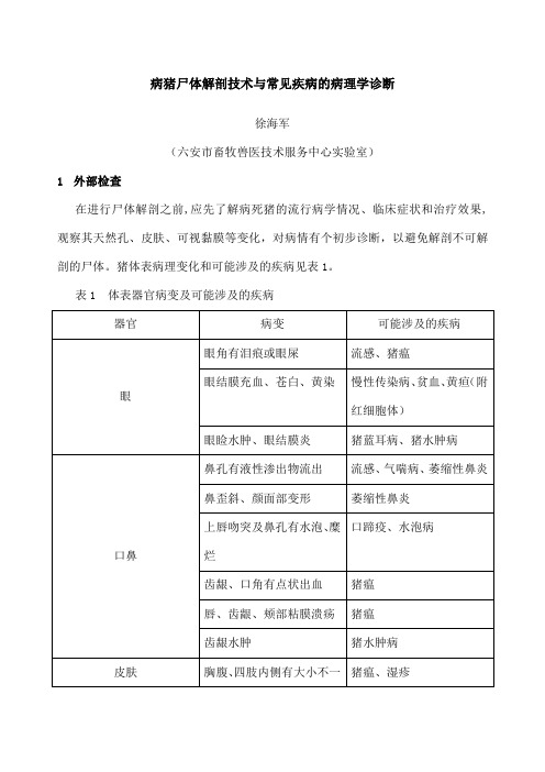 病猪尸体解剖技术与常见疾病诊断