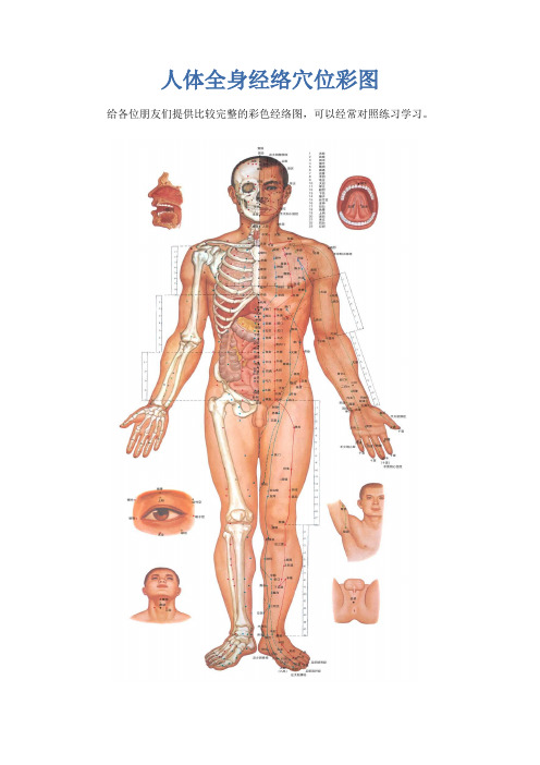 人体全身经络穴位彩图