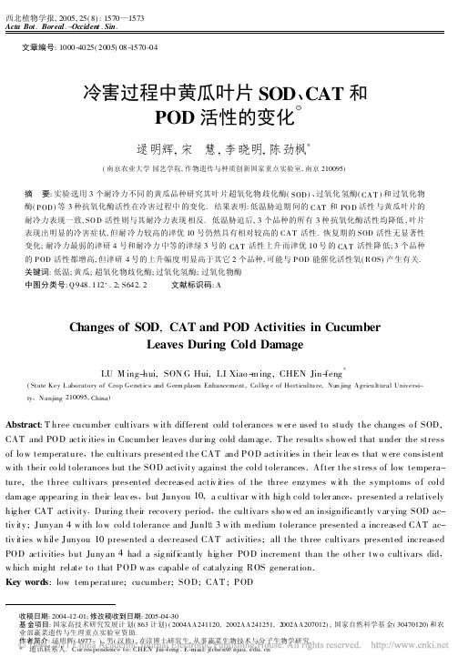 冷害过程中黄瓜叶片SOD_CAT和POD活性的变化