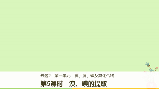 高中化学专题2从海水中获得的化学物质第一单元氯、溴、碘及其化合物第5课时课件苏教版必修1