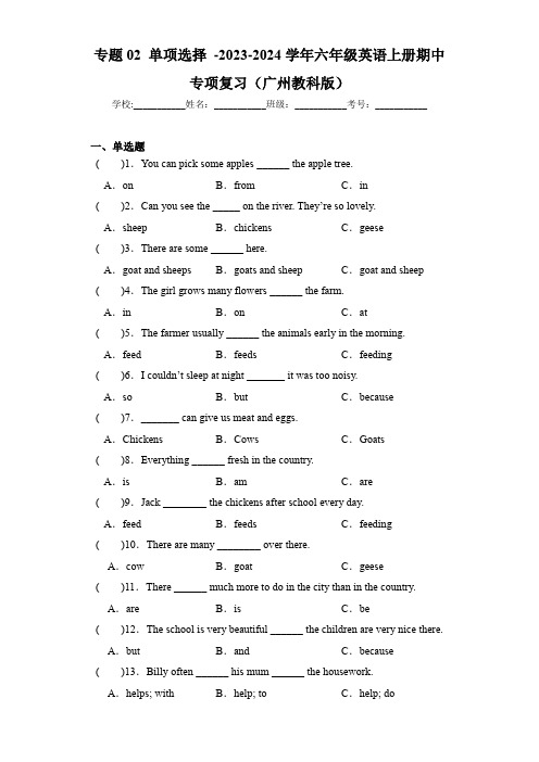 专题02单项选择-2023-2024学年六年级英语上册期中专项复习(广州教科版)