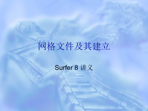 Surfer 2 网格文件及其建立