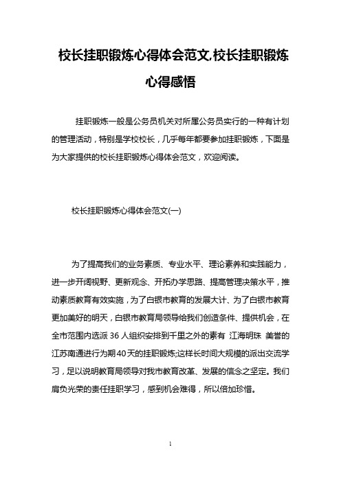 校长挂职锻炼心得体会范文,校长挂职锻炼心得感悟