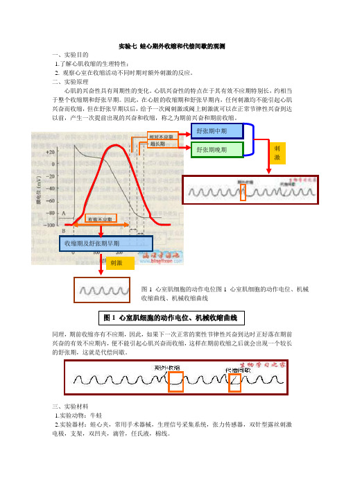 实验七 蛙心期外收缩和代偿间歇的观测 084120003陈明辉