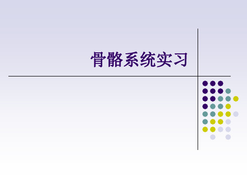 骨肿瘤的X线诊断 (1)