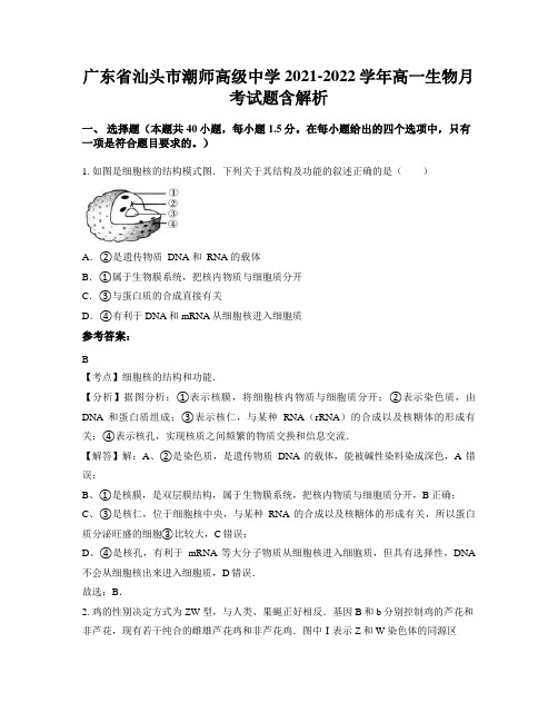 广东省汕头市潮师高级中学2021-2022学年高一生物月考试题含解析