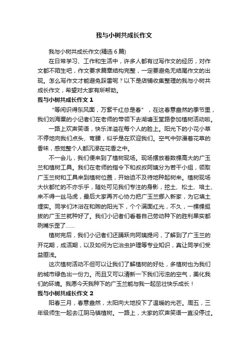 我与小树共成长作文