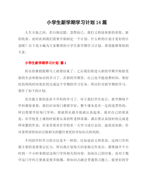 小学生新学期学习计划14篇