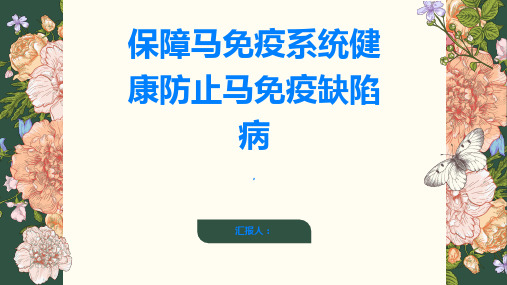 如何保障马的免疫系统健康防止马免疫缺陷病