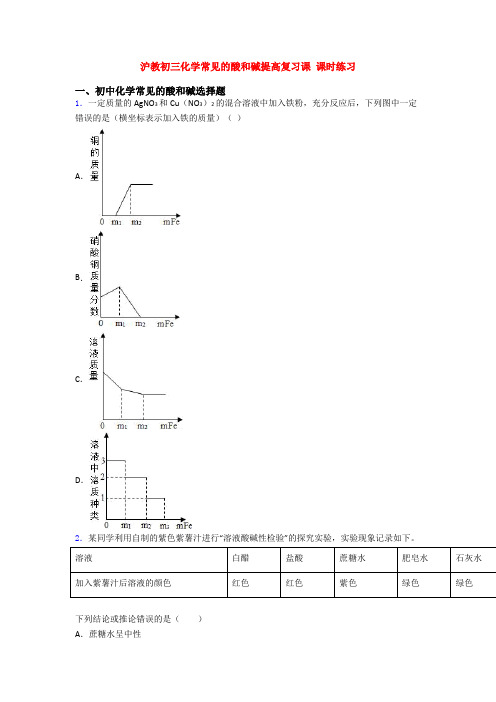 沪教初三化学常见的酸和碱提高复习课 课时练习