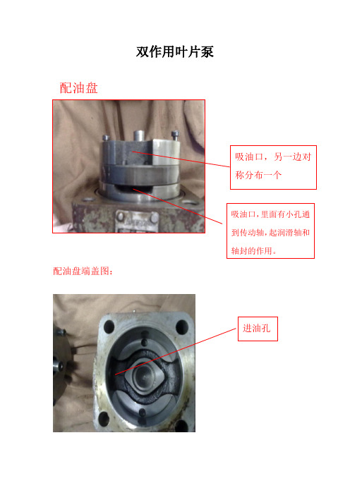 叶片泵结构