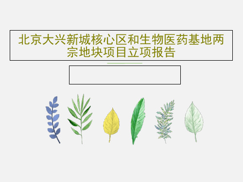 北京大兴新城核心区和生物医药基地两宗地块项目立项报告共72页