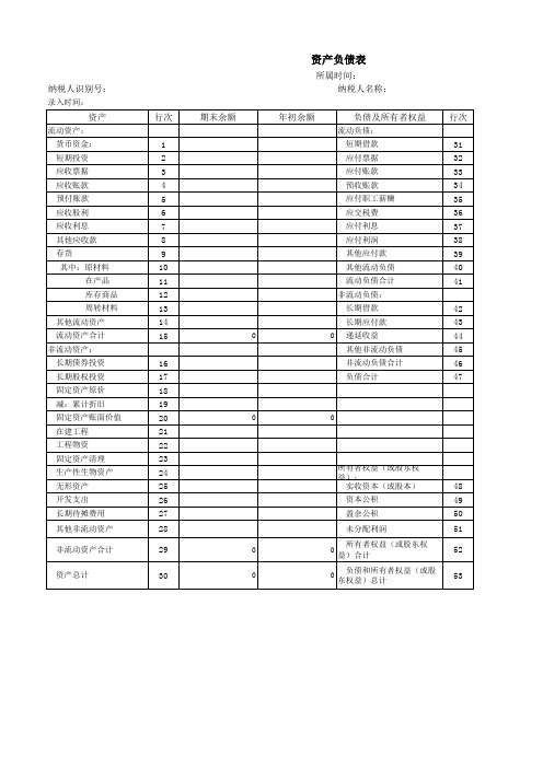 小企业会计准则财务报表(导入模版)