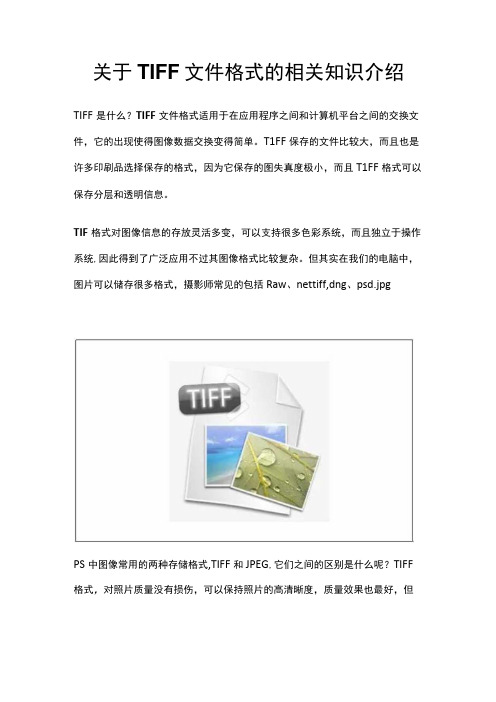 关于TIFF文件格式的相关知识介绍