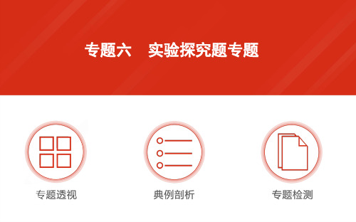 2016年中考物理实验探究题专题复习课件复习题