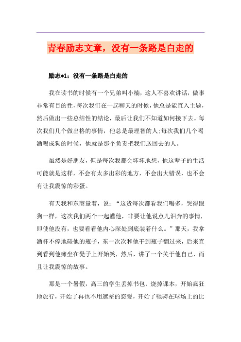 青春励志文章,没有一条路是白走的