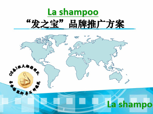 La shampoo“发之宝”品牌推广方案