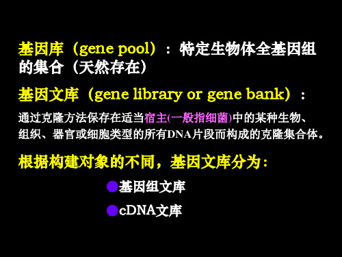 第7章 基因文库的构建