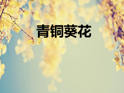 青铜葵花-读书分享课件