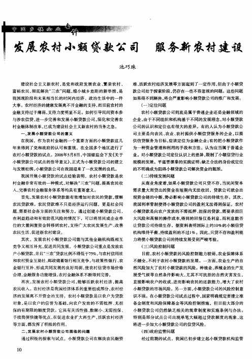 发展农村小额贷款公司 服务新农村建设