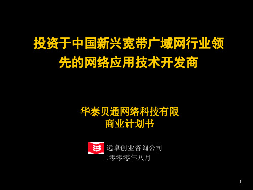 北京华泰科技公司商业计划书