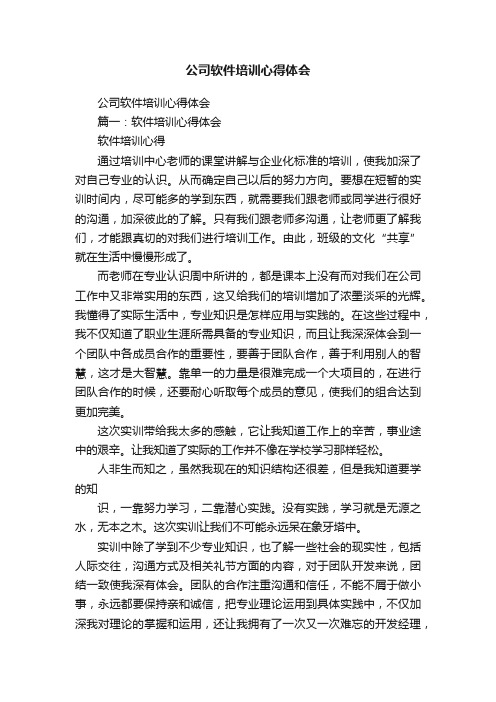 公司软件培训心得体会