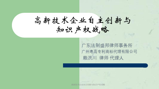 高新技术企业自主创新与知识产权战略课件