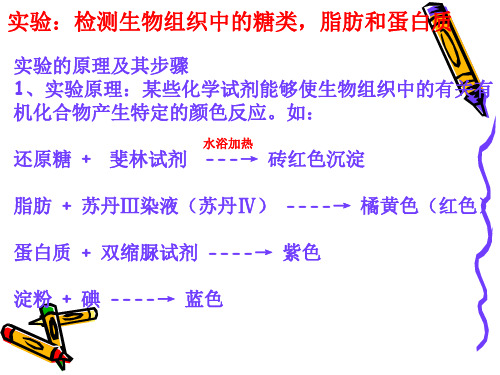 5第二章第一节细胞中的元素化合物实验